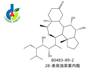 揭秘植物生长调节剂 科技赋能绿色世界的神奇工具