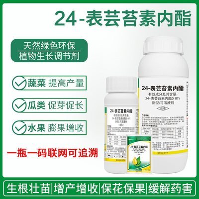 24-表高芸苔素内酯 小麦、黄瓜与柑橘的绿色增长密码