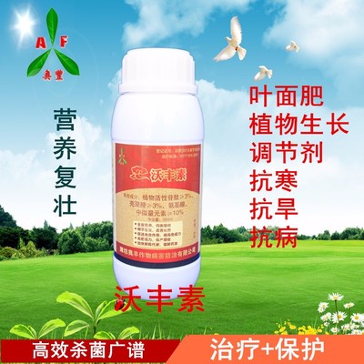 朝天椒疫病综合防控方案 中草药与植物生长调节剂的科学应用