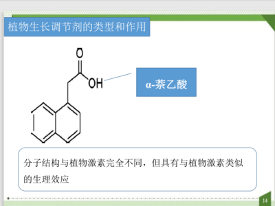 植物生长调节剂的妙用 从2021学年人教版生物课件中看现代农艺智慧