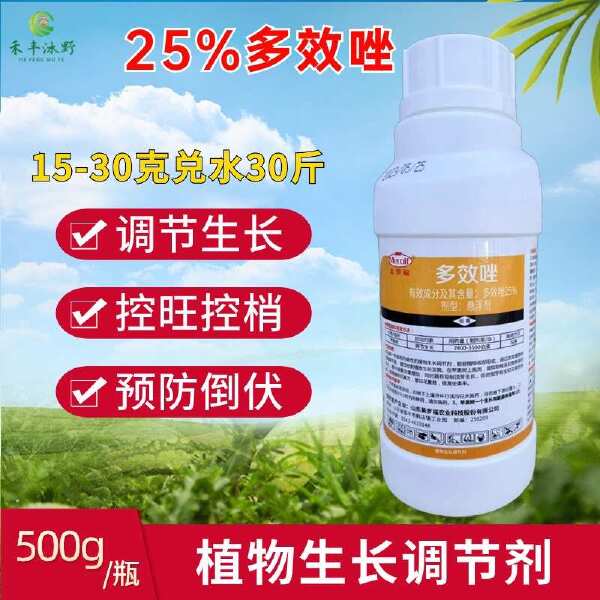合理使用植物生长调节剂 多效唑、矮化剂与矮壮素在花卉果树和多肉控旺中的应用